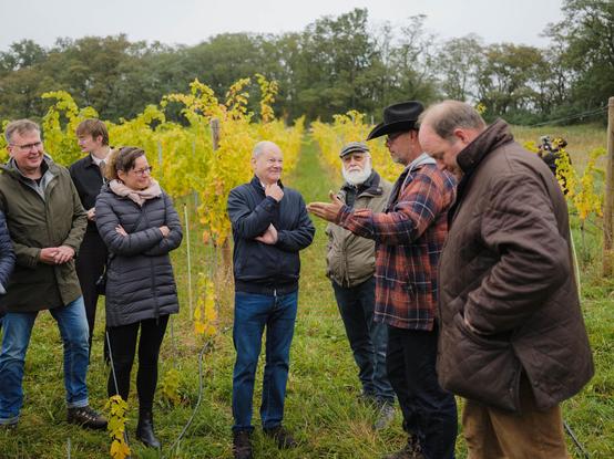 Besuch des MdB Olaf Scholz und der brandenburgischen Landwirtschaftsministerin Hanka Mittelstädt  (MWFK) beim Projekt für kooperativen Agrarumweltschutz KOMBI am 7. Oktober 2025 in Werder / Havel.

(c) Alexander Paul Brandes/ NABU