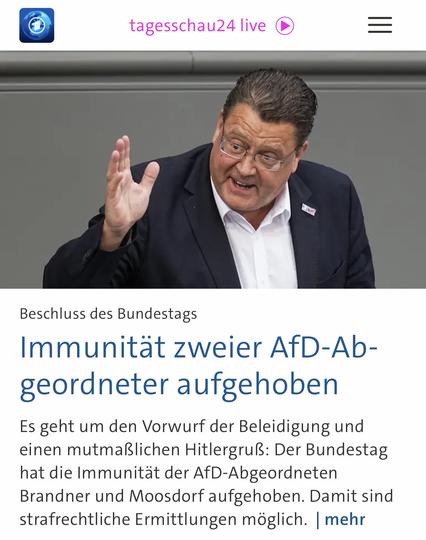 tagesschau24 live
Beschluss des Bundestags
Immunität zweier AfD-Ab-geordneter aufgehoben
Es geht um den Vorwurf der Beleidigung und einen mutmaßlichen Hitlergruß: Der Bundestag hat die Immunität der AfD-Abgeordneten Brandner und Moosdorf aufgehoben. Damit sind strafrechtliche Ermittlungen möglich. mehr🖖