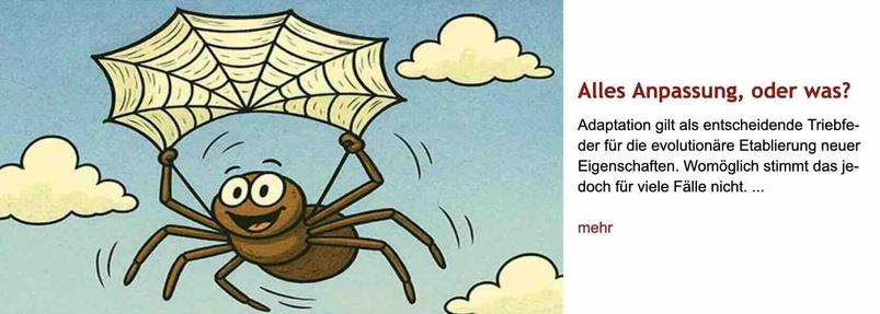 Comiczeichnung einer lachenden Spinne, die ihr Spinnennetz zu einem Gleitschirm umfunktioniert hat und mit diesem durch die Luft schwebt. Rechts daneben Überschrift "Alles Anpassung, oder was?" des im Post verlinkten Artikels, gefolgt von dessen Vorspann mit dem Text: "Adaptation gilt als entscheidende Triebfeder für die evolutionäre Etablierung neuer Eigenschaften. Womöglich stimmt das jedoch für viele Fälle nicht."