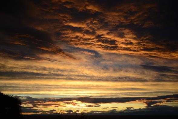 A photo of a sunset through norwester clouds over the Southern Alps as seen from the Cashmere hills of Christchurch city. The sun is below the horizon and the cloudy sky is lit up in orange.

My full-res photo is on Flickr at https://www.flickr.com/photos/mollivan_jon/54844667066/