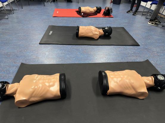 Vier Torsos, alle männlich, auf Matten auf dem Boden.