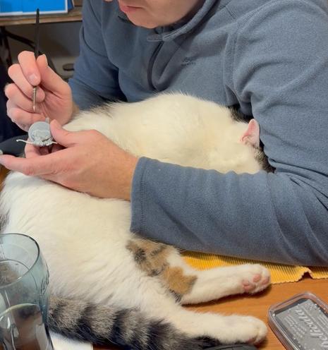 A person is painting a miniature figure, their hands resting on a white cat with tabby patches that’s sleeping on the table, its head pressed against the person’s body.
