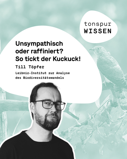 Bild von Till Töpfer, Gesprächspartner im Podcast "Tonspur Wissen" zum Kuckuck