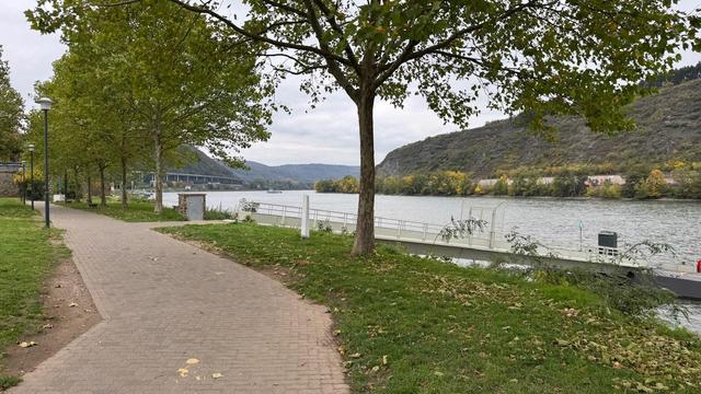 Wohnmobilstellplatz, Andernach