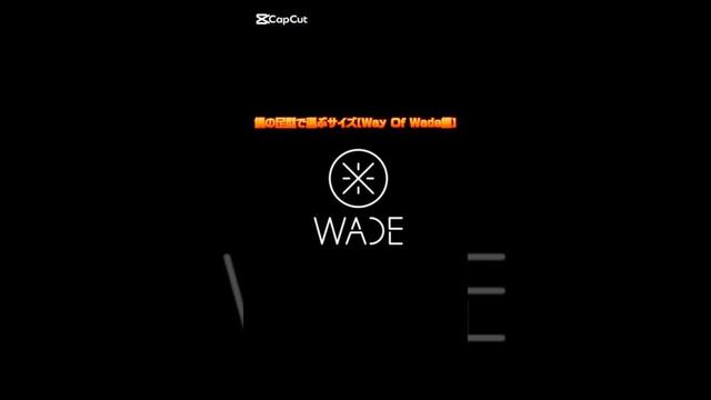 僕の足型で選ぶサイズ【Way Of Wade編】 #バッシュ #wayofwade