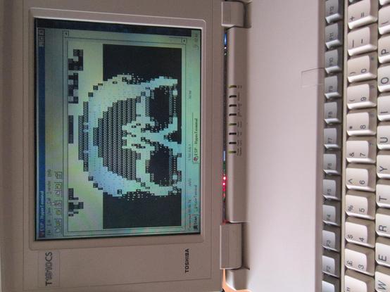 A 486 laptop loading the Black Flag BBS, displaying half of ANSI art skull.
