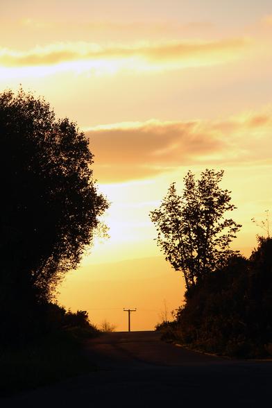 A view along a road at dusk. The sky is covered with golden yellow light which reflects off a few clouds. The road has trees on either side which are silhouetted against the sky. At the top of the road a telegraph pole stands out in the distance. October, 2025. Wales, UK.