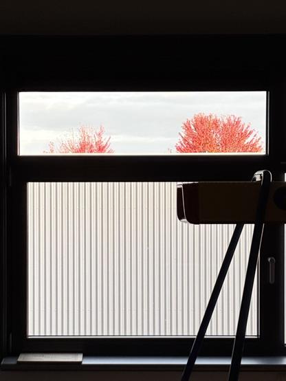 The tops of two trees with red leaves rise above a building, clearly visible through a small window