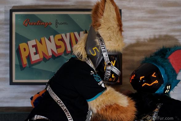 Korr (left) trying to take on Nibble (right). There is a photo behind them that says “Greetings from Pennsylvania U.S.A.”. This was taken during WPAFW 2025.