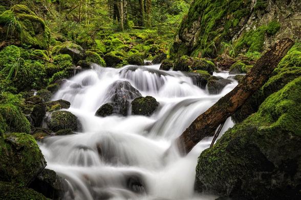Zu sehen ist eine Bachwasserfall, der sich um Steine schlängelt. Im Hintergrund ist Wald zu sehen.