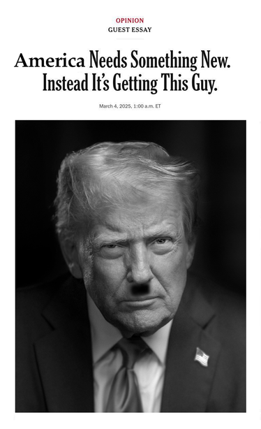 Manipuliertes Bild der Ursprungsmeldung: Statt "Germany..." steht dort jetzt "America needs something new, instead it's getting this guy."

Darunter statt des Merz-Fotos das offizielle Pressefoto des Weißen Hauses von donald trump. (mit einem kleinen Schatten unter Nase... Das Foto ist public domain, siehe https://commons.wikimedia.org/wiki/File:President-Donald-Trump-Official-Presidential-Portrait.png)