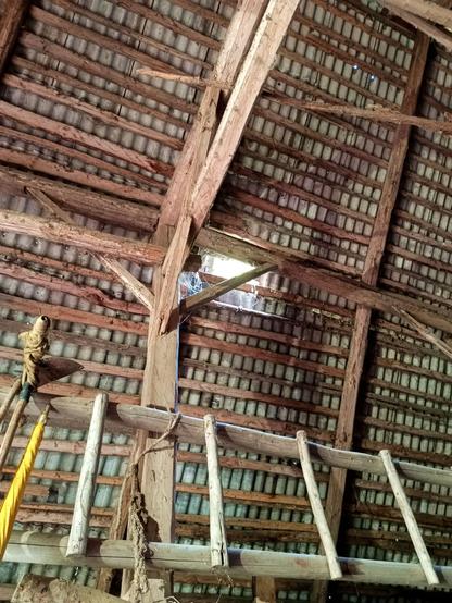 Inside of a big old barn, about 90 years old. The view is up the roof, which has some big timber framing, a few rafters, a lot of battens and grey cancer plates on top. One has an opening letting rain and light in.
