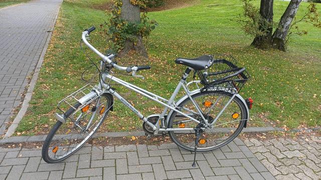 Ein altes. silberfarbenes Fahrrad steht auf einem Pflasterweg vor einer Rasenfläche mit Laub und Bäumen.