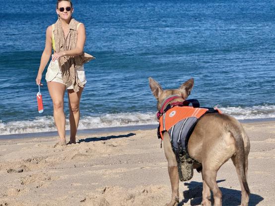 Ziggy in his life jacket playing with his Aunt Lulu.