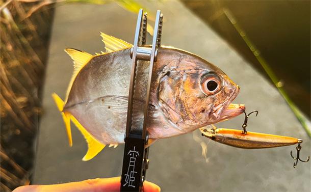 メッキゲーム＆テンヤタチウオのリレー釣りで両本命をキャッチ【淡路島】