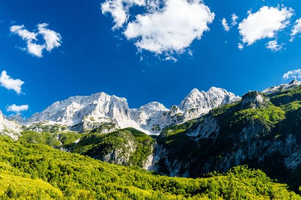 Rocky mountain ridge with a lush green forrest and a stony river bed in the foreground. Dark blue sky with cottonlike clouds.