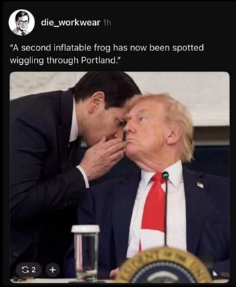 screengrab from the menswear guy

Shows Marco Rubio whispering in Trump's ear at that ludicrous meeting they had about "Antifa"

Caption reads "A second inflatable frog has now been spotted wiggling through Portland."