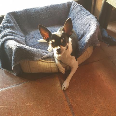 Niki posing like she is the mistress of the house