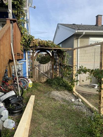 A look toward a side gate with a large round hole in the top of the gate. Above and in front of the gate is a grape fine that travel up and across the path before going up the side of the house.