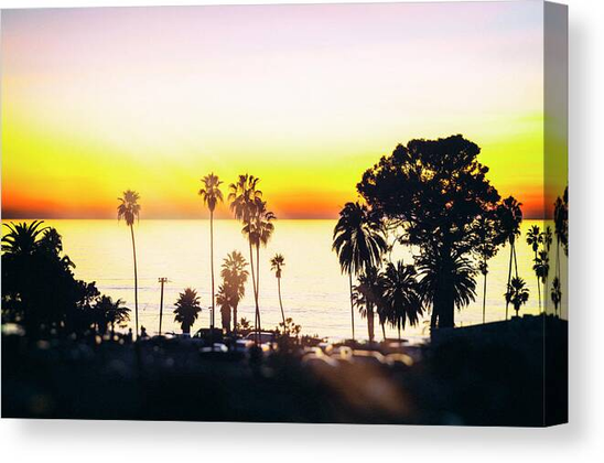 Coastal sunset with ocean and palm trees