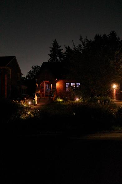 Color photograph looking across a darkened residential street at night at the front of a small brick house with a yard filled with native plant, some landscaping lights shining around the darkened yard. Trees behind the house blend with its silhouette against a glowing night sky