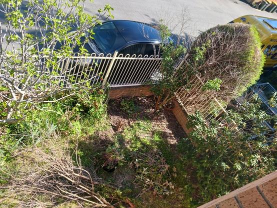 looking down on the corner of a garden. piles of branches lie on the ground near a newly cleared area