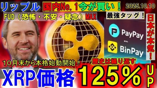 リップル（XRP)FUD激高の今が買い⁉XRP125％UPの可能性！PayPya×バイナンスで日本の暗号資産に革命が起こる！最強タッグだ！