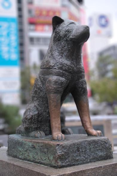 The statue of Hachiko, the loyal dog