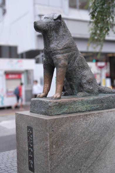 The statue of Hachiko, the loyal dog