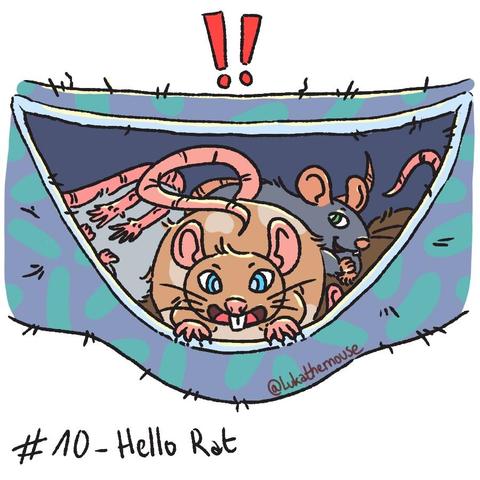 Drawing of a grey rat hammock, a large rat is in the middle, facing the viewer looking extremely happy. Other rats are behind, chilling, in a pile, One of them is looking at the viewer looking happy as well. Two red exclamation points are drawn above the hammock.
