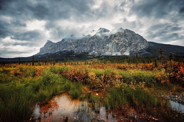 A photo of the Alaskan tundra in the autumn. Image made by Ryan Aw