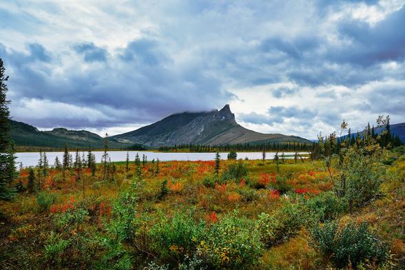 A photo of the Alaskan tundra in the autumn. Image made by Ryan Aw