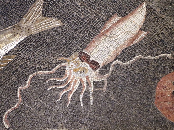 Cool squid in an ancient Roman sea bed mosaic - looks like it has sunglasses on its head LOL! (not covering the eyes, which are visible - like if you had your sunglasses resting on top of your head). https://commons.wikimedia.org/wiki/File:Mosaico_del_fondale_marino,_90-50_ac_circa_10-11_calamaro_e_torpedine_occhiuta_(originali).JPG