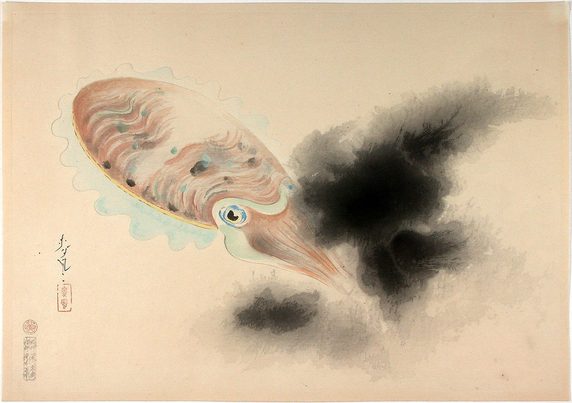 vintage Japanese color woodblock print in landscape orientation, illustration of an inking cuttlefish (light brown & light blue body, black ink), with seals and signatures on lower left. https://ukiyo-e.org/image/jaodb/Bakufu_Ohno-Familiar_Fishes_of_Nippon-Squid-00036192-040510-F12