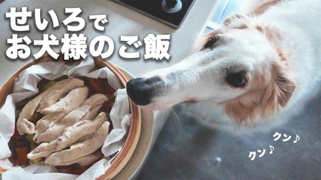 【せいろ】ボルゾイ達も大興奮！せいろでご飯を作ってみた！