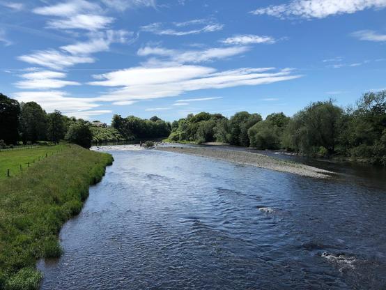 A river flows through the countryside near Melrose, Scotland, bordered by grassy banks and clusters of trees on both sides. The water is calm with a few ripples and a gravel bar extends through the center. On the left, a fenced green field stretches alongside the river, while the right bank is lined with dense greenery. Further ahead, the river curves gently, disappearing into a backdrop of thick woodland. Above, the sky is bright blue with streaks of white clouds scattered across it, giving the scene a clear and open atmosphere.