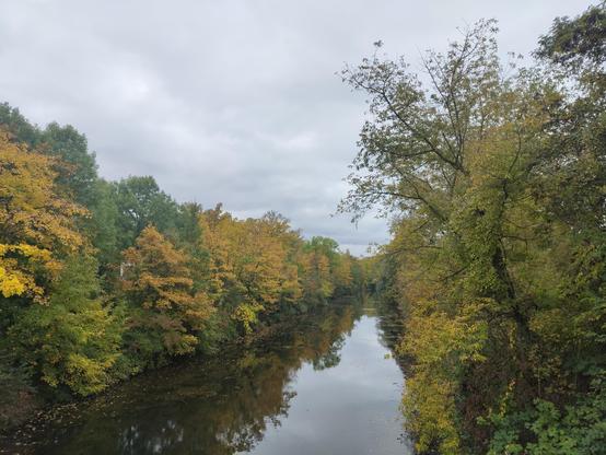 Foto vom Karl-Heine Kanal:

Vor mir ist der Kanal, das Wasser ist ruhig mit einer geschlossen Oberfläsche in der sich die Bäume am Rand und der Himmel spiegeln.

Die Ränder sind links und rechts bis zum Horizont mit Bäumen in unterschiedlicher Herbstfärbung gesäumt, von grün über gelb und orange. Einige Blätter sind bereits abgefallen und treiben auf der Wasseroberfläche. In einiger Entfernung macht der Kanal eine Biegung weshalb auch hinter der Biegung Bäume zu sehen sind. 

Der Himmel ist grau und bewölkt, das Licht ist dadurch gedämpft und die Szene fühlt sich dadurch farblos und kühl an.

Das Foto wurde an einem Samstag morgen gegen 10:30 aufgenommen.