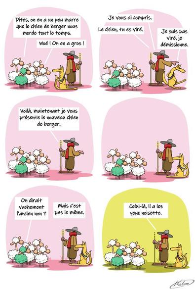 Les moutons : Dites, on en a un peu marre que le chien de berger nous morde tout le temps.
Le berger :
Le chien, tu es viré. Voilà, maintenant je vous présente le nouveau chien de berger.

Un autre chien identique arrive.
un mouton : On dirait vachement l’ancien non ?
Le berger : pas du tout, lui, il à les yeux noisette