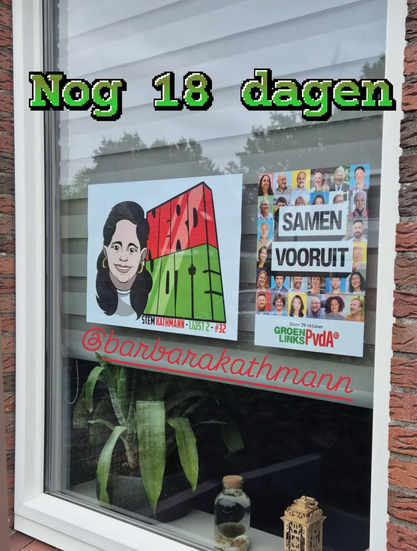 Je ziet een raam van een huis. Er hangen twee verkiezingsposter op het raam. Eentje met ‘samenvooruit’ van GroenLinks OvdA en eentje (links) met NerdVote erop. Er staat ook stem Kathmann plek 32 lijst 2.