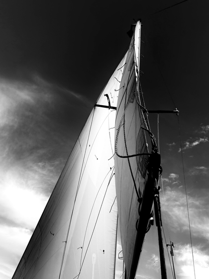 Schwarz-weißes Foto von den Segeln einer Yacht; black and white photograph of sails of a yacht