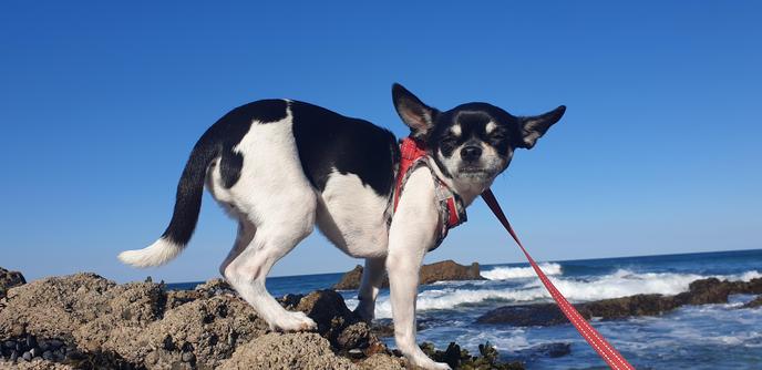 Niki on the rocks