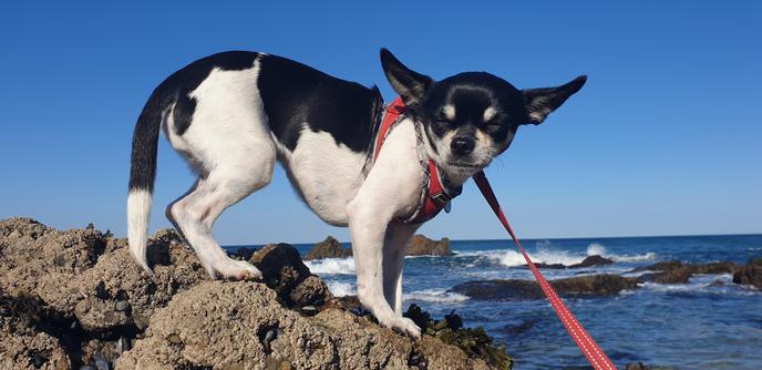 Niki on the rocks