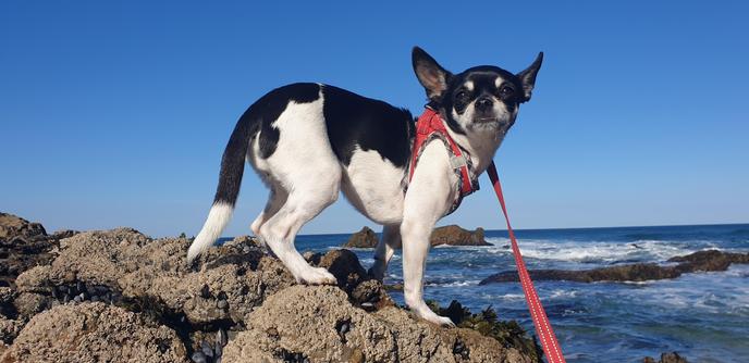 Niki on the rocks