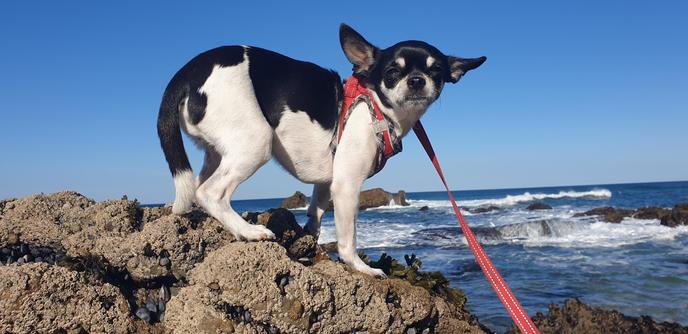 Niki on the rocks
