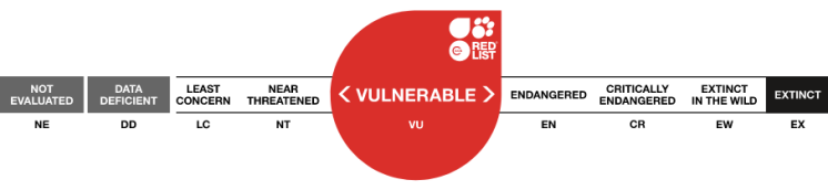 IUCN Rating vulnerable