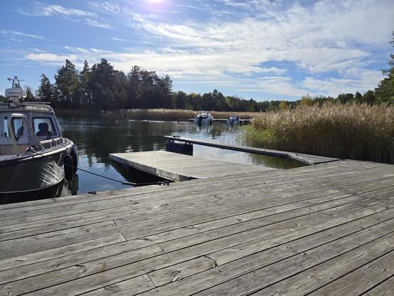 Utsikt från brygga över viken, vass som vajar i solen på andra sidan. Några små båtar ligget förtöjda