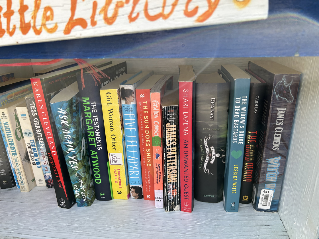 Just the inside of a little library around the corner from us. There is a copy of "The Testaments" by Margaret Atwood which we have read.