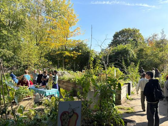 Vue du jardin avec des stand sous un beau ciel bleu