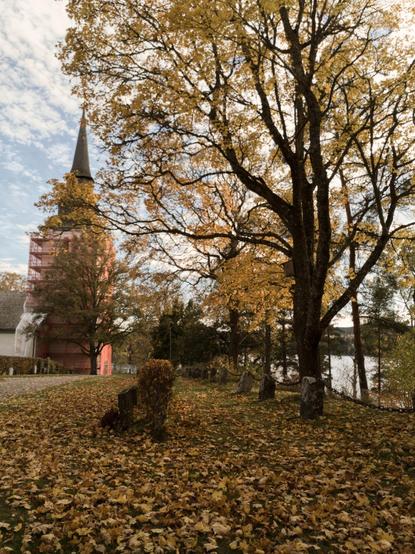 En stående bild på en kyrka med målarställningar runt den höga delen, dock inte tornet. Många gula och bruna löv på kyrkogården mellan gravstenarna. Några träd på högra sidan med gula löv.