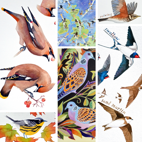 Collage of paintings of migratory birds including waxwings, swallows and turtle doves, by Jane Tomlinson